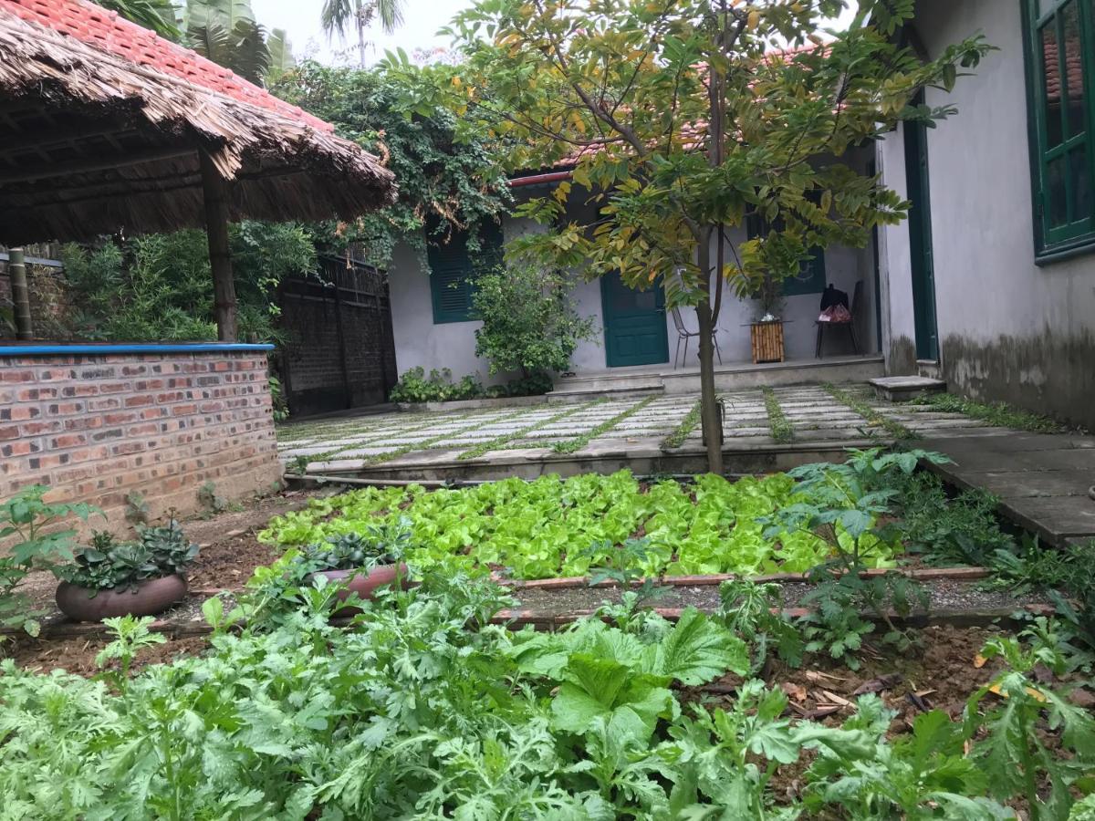 Tam Coc Eco House Apartment Ninh Binh Exterior photo