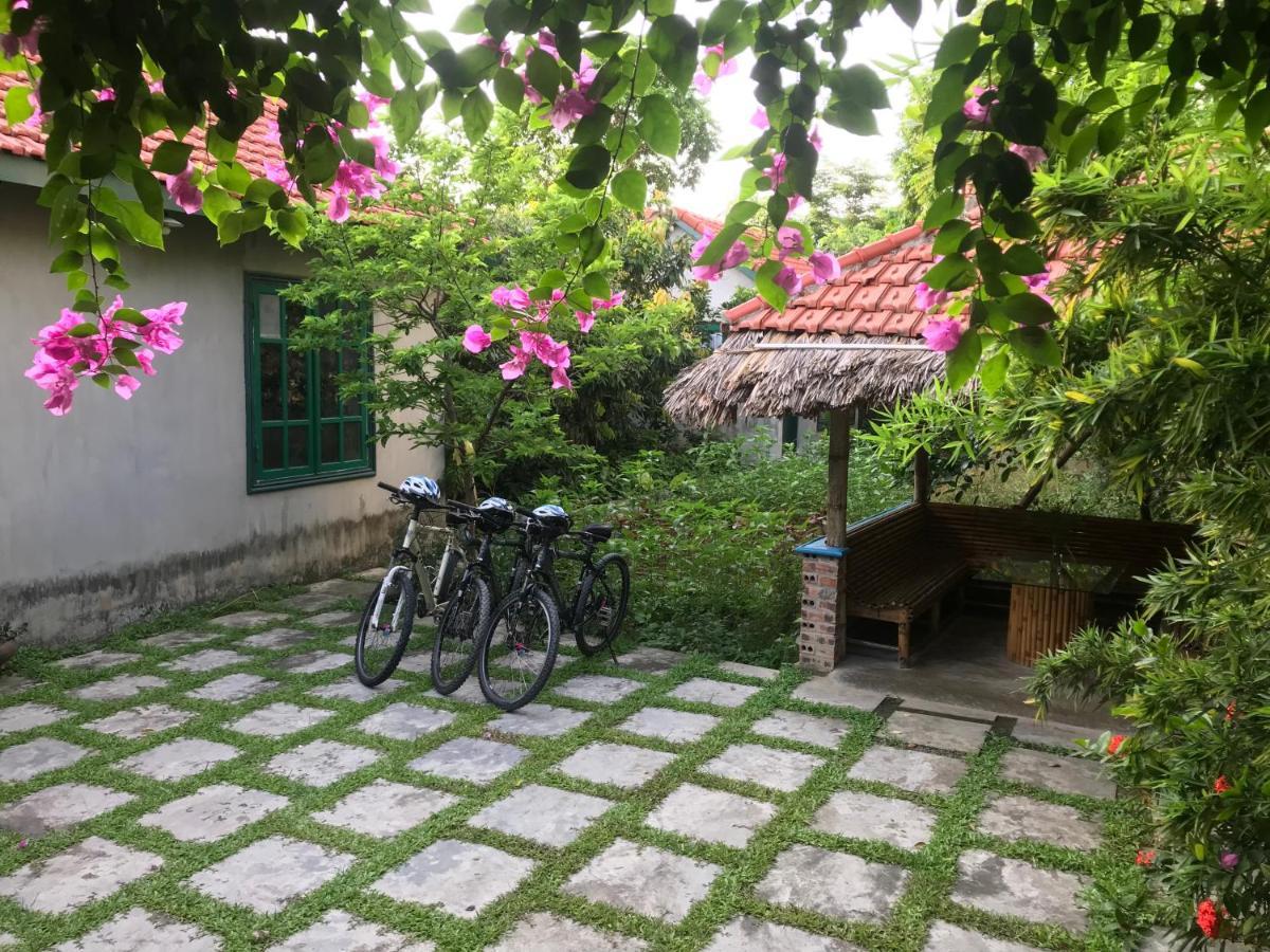 Tam Coc Eco House Apartment Ninh Binh Exterior photo