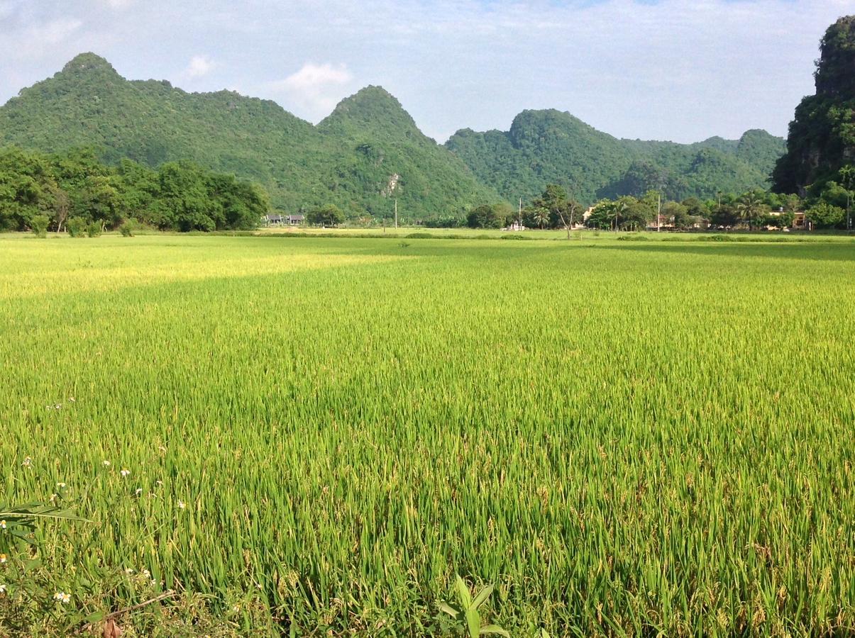 Tam Coc Eco House Apartment Ninh Binh Exterior photo