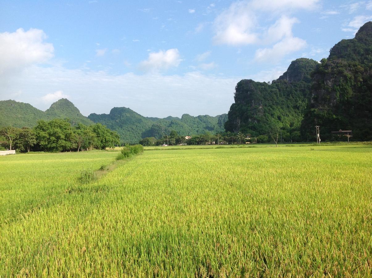 Tam Coc Eco House Apartment Ninh Binh Exterior photo
