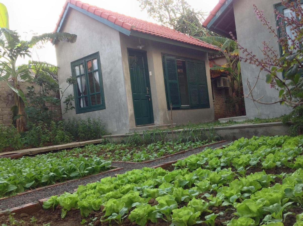 Tam Coc Eco House Apartment Ninh Binh Exterior photo
